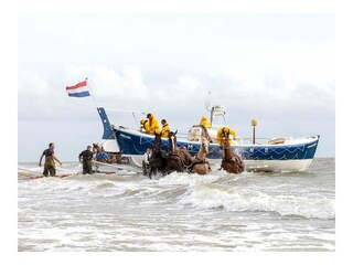 Vakantieappartement Nes Omgeving 30