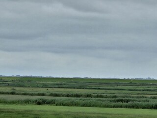 Appartamento per vacanze Nes Registrazione all'aperto 8