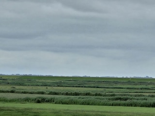 Vakantieappartement Nes Buitenaudio-opname 8