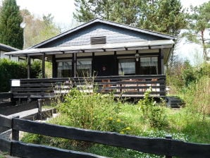 Ferienhaus Fliegenpilz - Blankenheim - image1