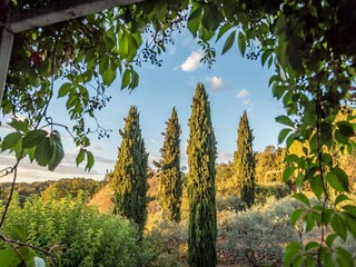 Villa Berrias-et-Casteljau Outdoor Recording 5