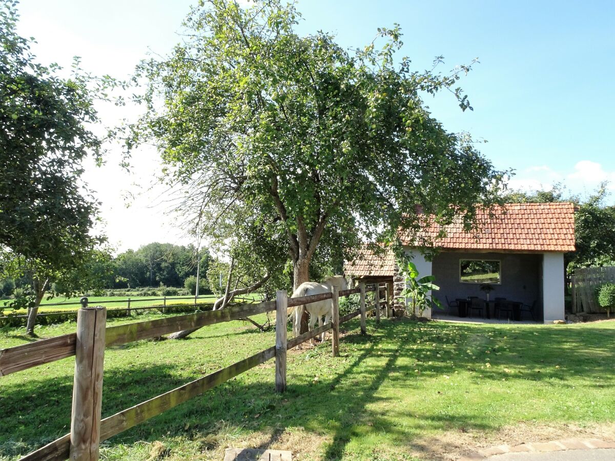 Ferienhaus Le Mesnil-Ozenne Außenaufnahme 4