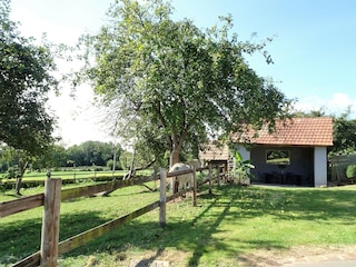 Holiday house Le Mesnil-Ozenne Outdoor Recording 5