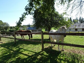 Ferienhaus Le Mesnil-Ozenne Außenaufnahme 4