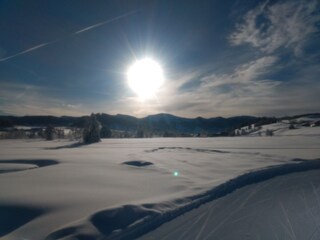 Langlaufen und Skaten in Oberstaufen