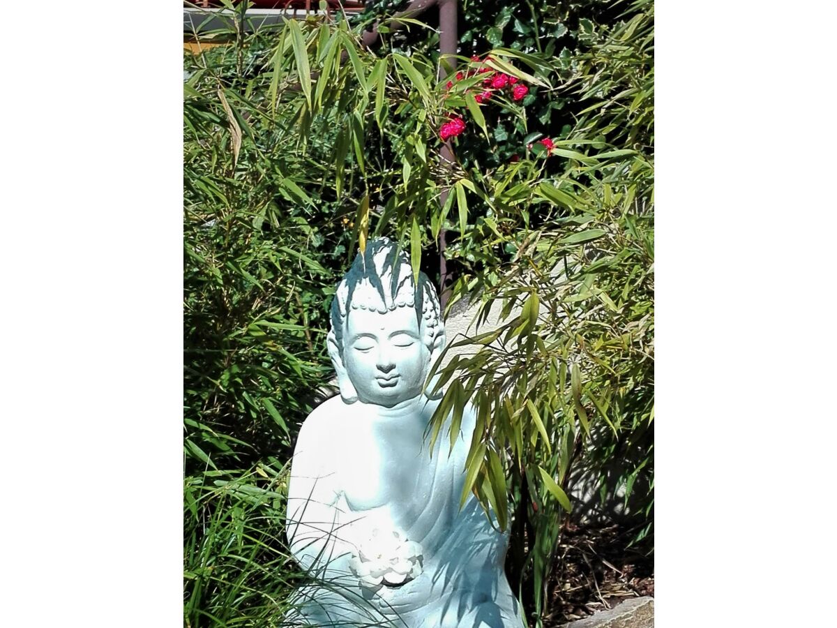 GartenBudda