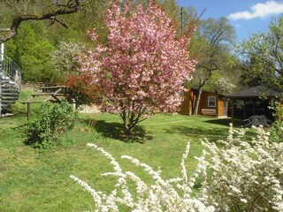 Gartenblick 3