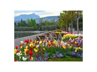 Appartamento per vacanze Bardolino Ambiente 22