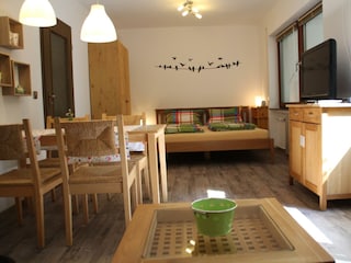 Wohn-Schlafzimmer (5)