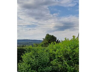 Aussicht Garten Bild 1