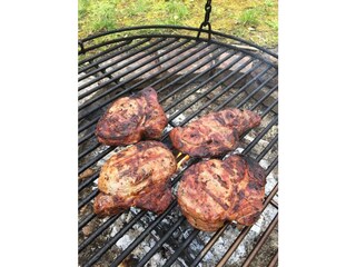 360475c33a5055df60cc9eab23368034