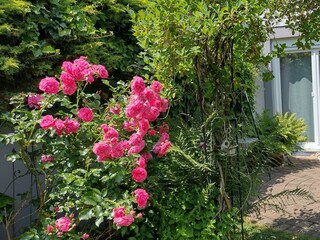 Garten2