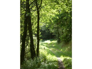 Spazierweg
