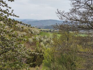 Wald