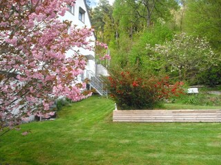 Gartenblick 4