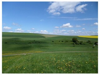 Landschaft2