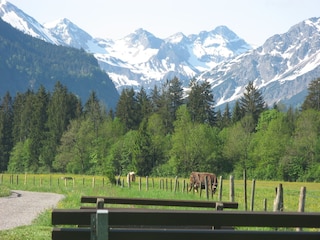 Richtung Oberstdorf Mai