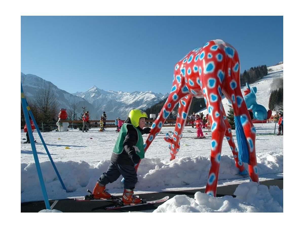 Holiday Apartment Wallmann Zell Am See Company Ferienwohnung