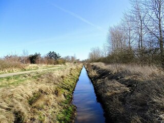 Holiday house Bork Havn  16