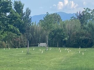 Appartamento Montemurlo Ambiente 20