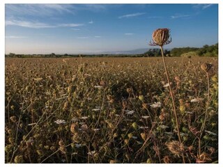 Appartement Montemurlo Environnement 22