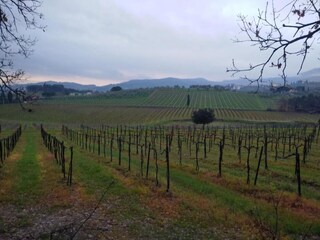 Appartamento Montemurlo Ambiente 24