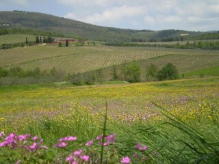 Apartamento Montemurlo Entorno 25