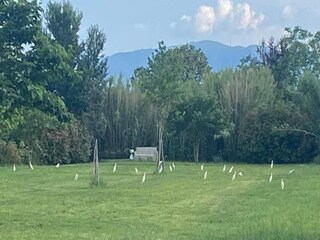 Apartamento Montemurlo Entorno 22