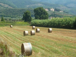 Apartment Montemurlo Umgebung 16