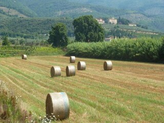 Appartamento Montemurlo Ambiente 22