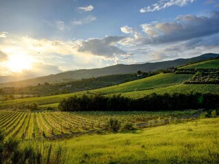 Apartment Montemurlo Environment 17