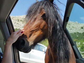 Casa per le vacanze Tucepi Ambiente 64