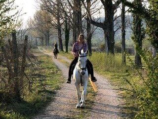 Villa Imotski Documento 43