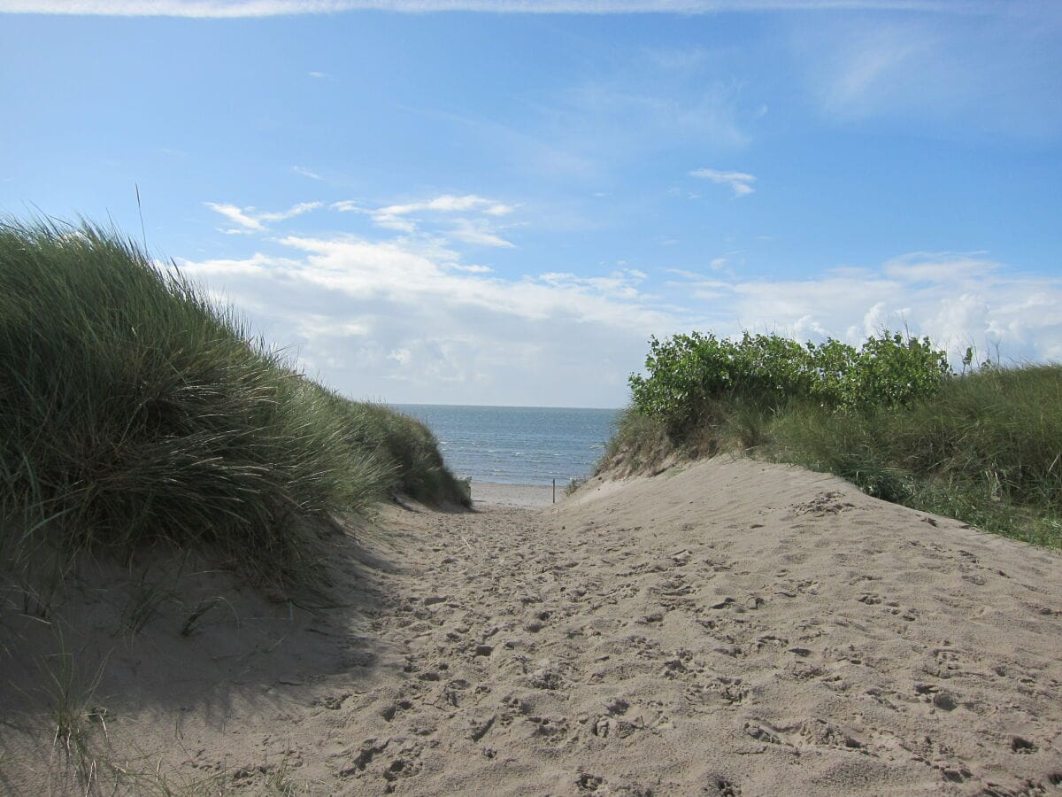 Dünen und Meer