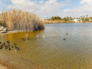 Apartment Vera Playa Environment 23