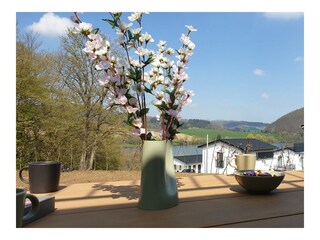 Maison de vacances Diemelsee Enregistrement extérieur 9