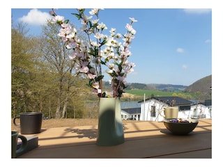 Vakantiehuis Diemelsee Buitenaudio-opname 15