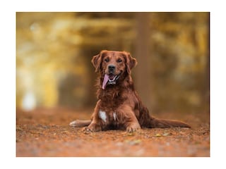 Ferienhaus Diemelsee Außenaufnahme 4