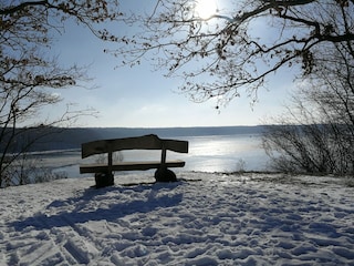 Ausblick Trave Winter