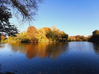 Casa galleggiante Lübeck-Schlutup Ambiente 31