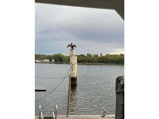 Casa galleggiante Lübeck-Schlutup Caratteristiche 21