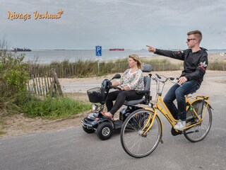 Maison de vacances Nieuwvliet Environnement 40