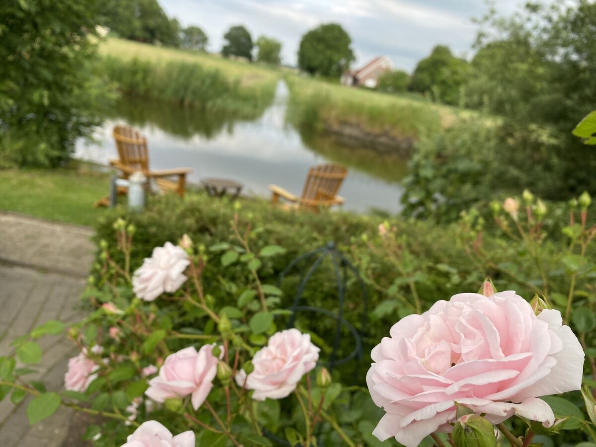 blütenreicher Garten