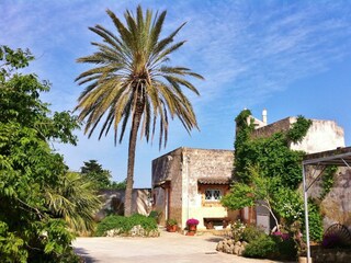 Villa Mazara del Vallo Registrazione all'aperto 8