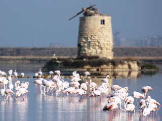 Villa Mazara del Vallo Ambiente 27