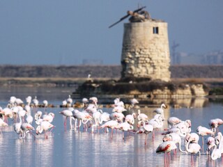 Vakantiehuis Mazara del Vallo Omgeving 38