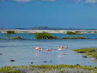 Villa Mazara del Vallo Ambiente 22