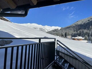IMG_1292