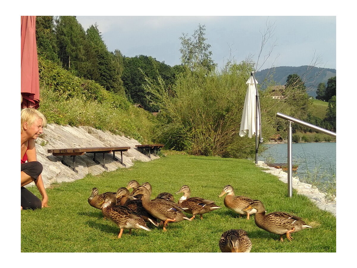 Ferienwohnung Haus am Hang, Innerschwand am Mondsee