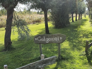 Maison de vacances Vlissingen Enregistrement extérieur 9